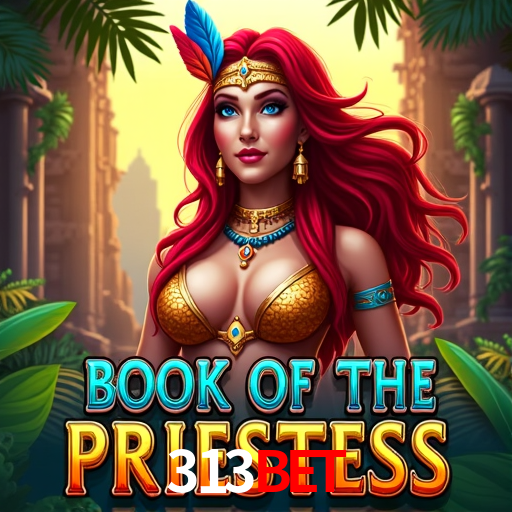 Interface Premium 313bet