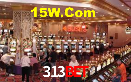Daily Bonuses 313bet