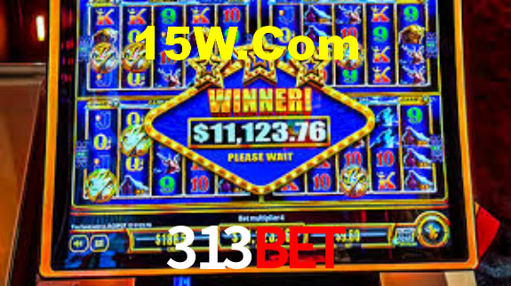 313bet App Interface